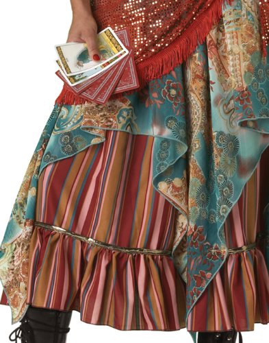 Back view showcasing the ruffled petticoat of the Fortune Teller costume
