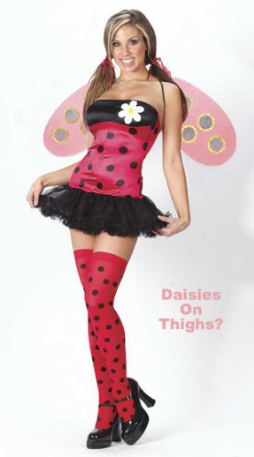 Close-up back view of the Womens Lovely Ladybug Costume showcasing the sheer nylon wings